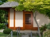 cedar_tea_house cedar_tea_house